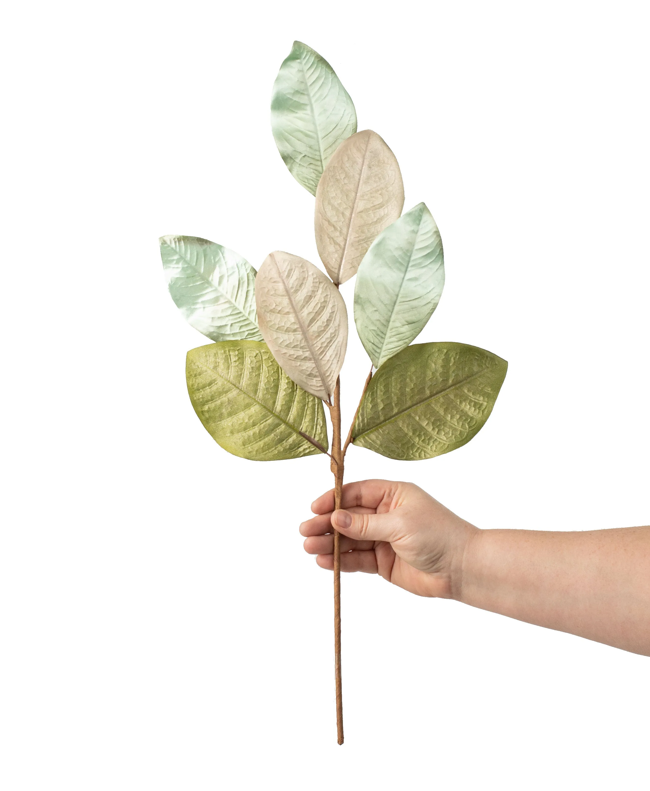 23" Magnolia Leaf Spray: Sea Foam, Champagne, Olive