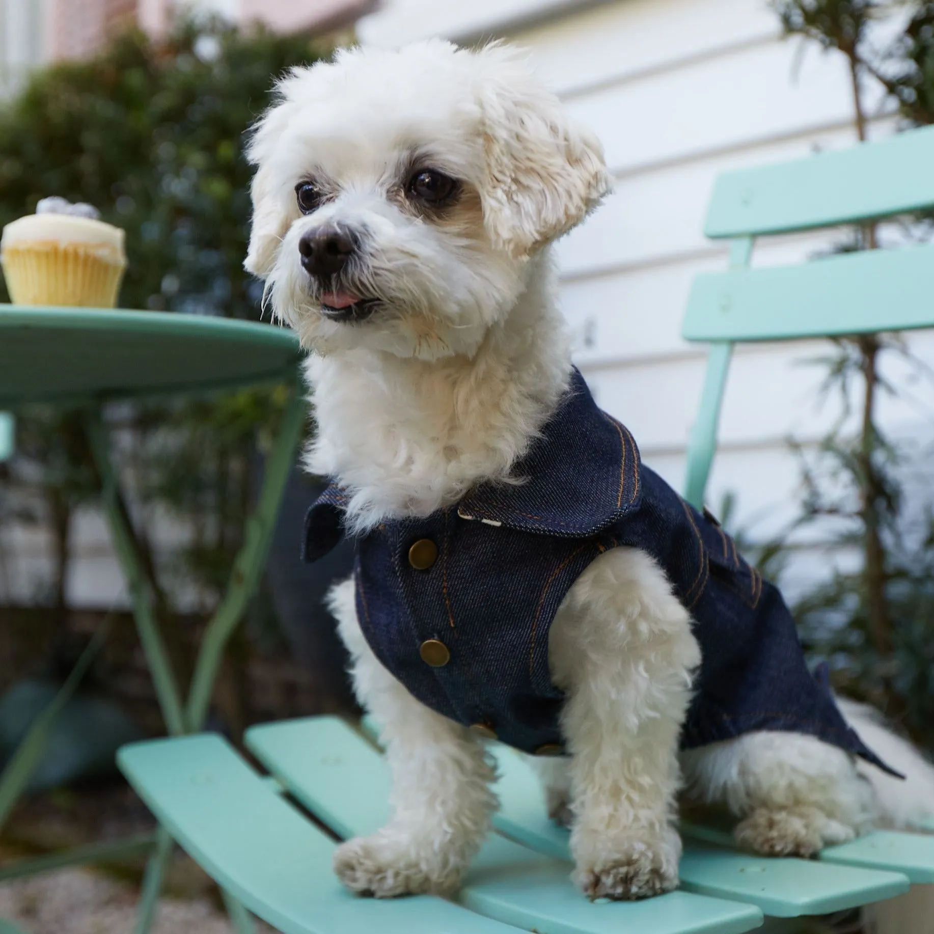 Pawefect Rockstar | Dark Wash Doggie Denim Vest