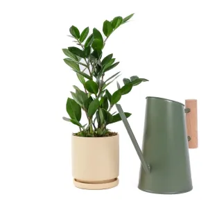 Preston Watering Can