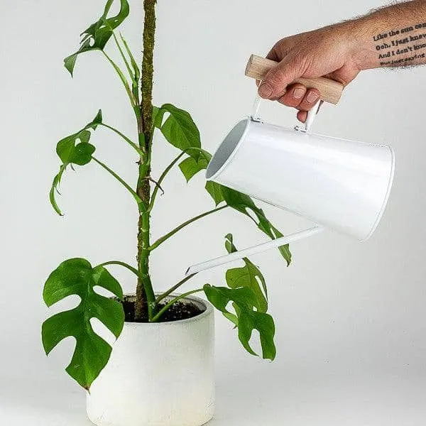 Preston Watering Can